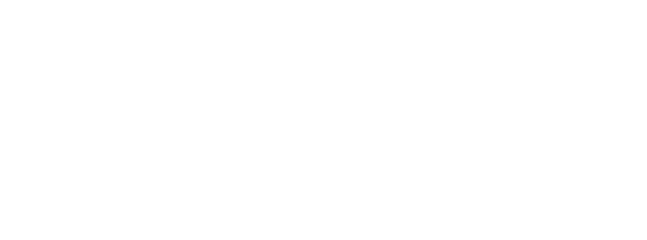 Main Logo
